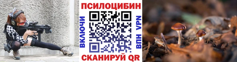 Галлюциногенные грибы MAGIC MUSHROOMS  где можно купить наркотик  Чадан 